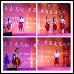 走近马泰文化，共筑友谊长桥——我校中外学生国际交流活动文艺晚会成功举办